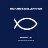 Big Hard Excellent Fish - Imperfect List - EP